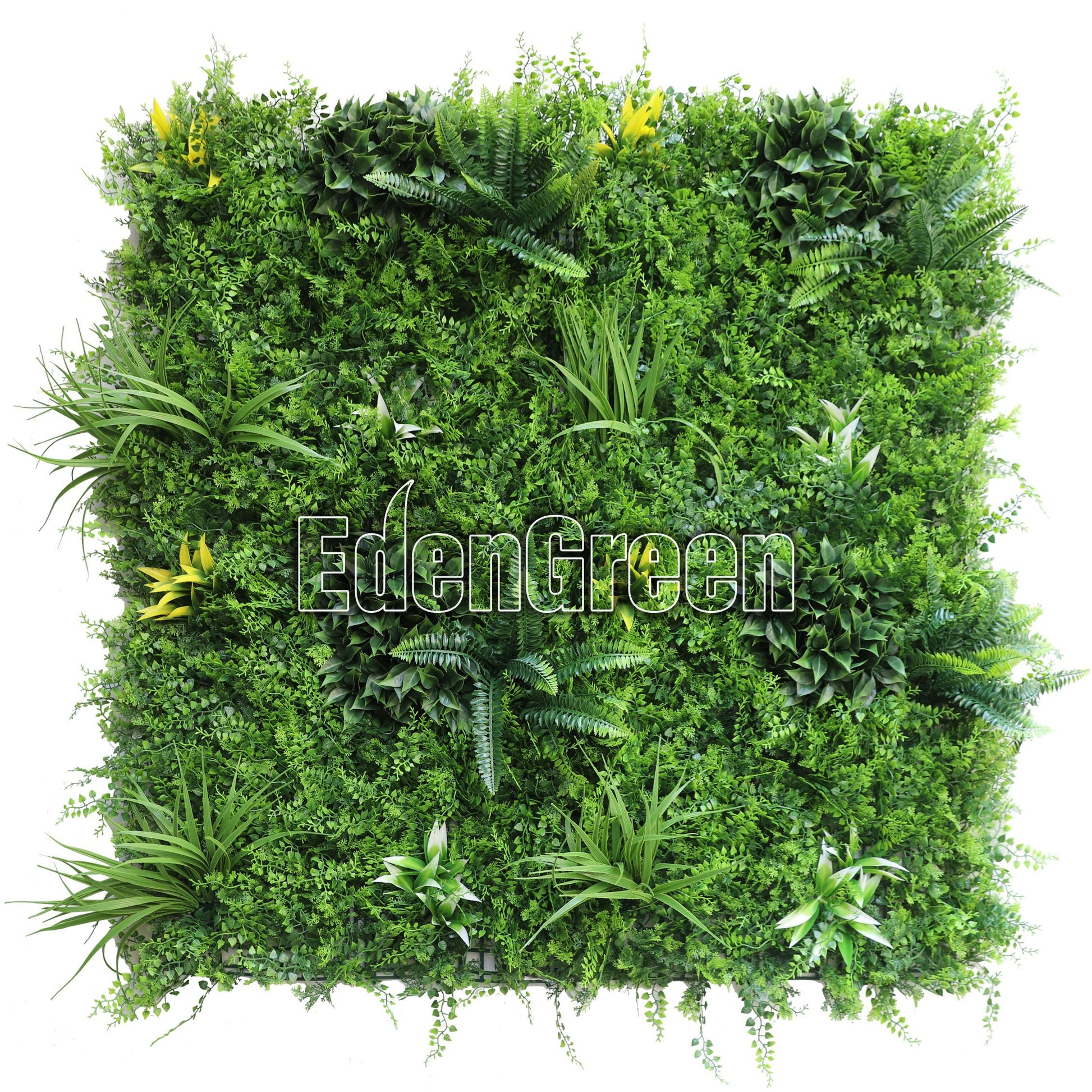 Dense Fern EGA100 100*100cm EdenGreen Vertical Green Wall Artificial Hedge Tile