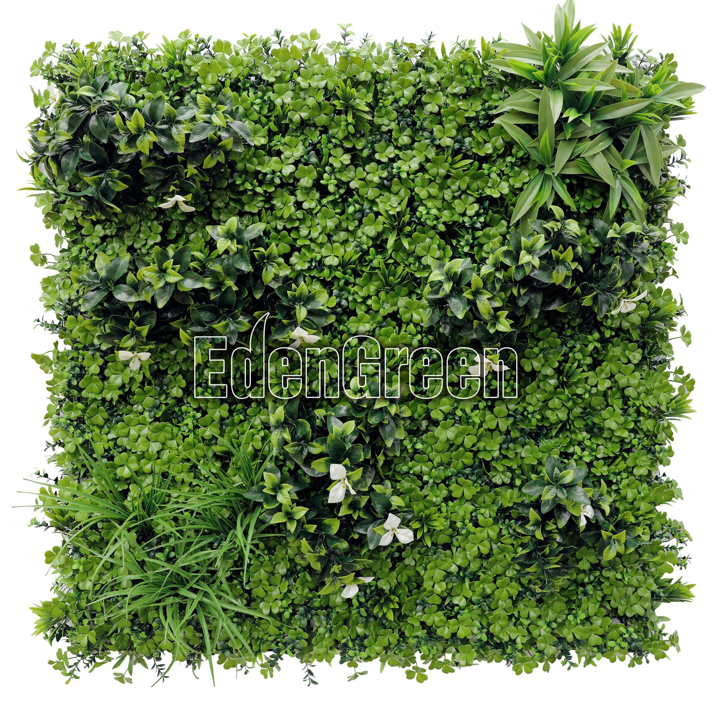 Lucky Planet EGF005 100*100cm EdenGreen Vertical Green Wall Artificial Hedge Tile