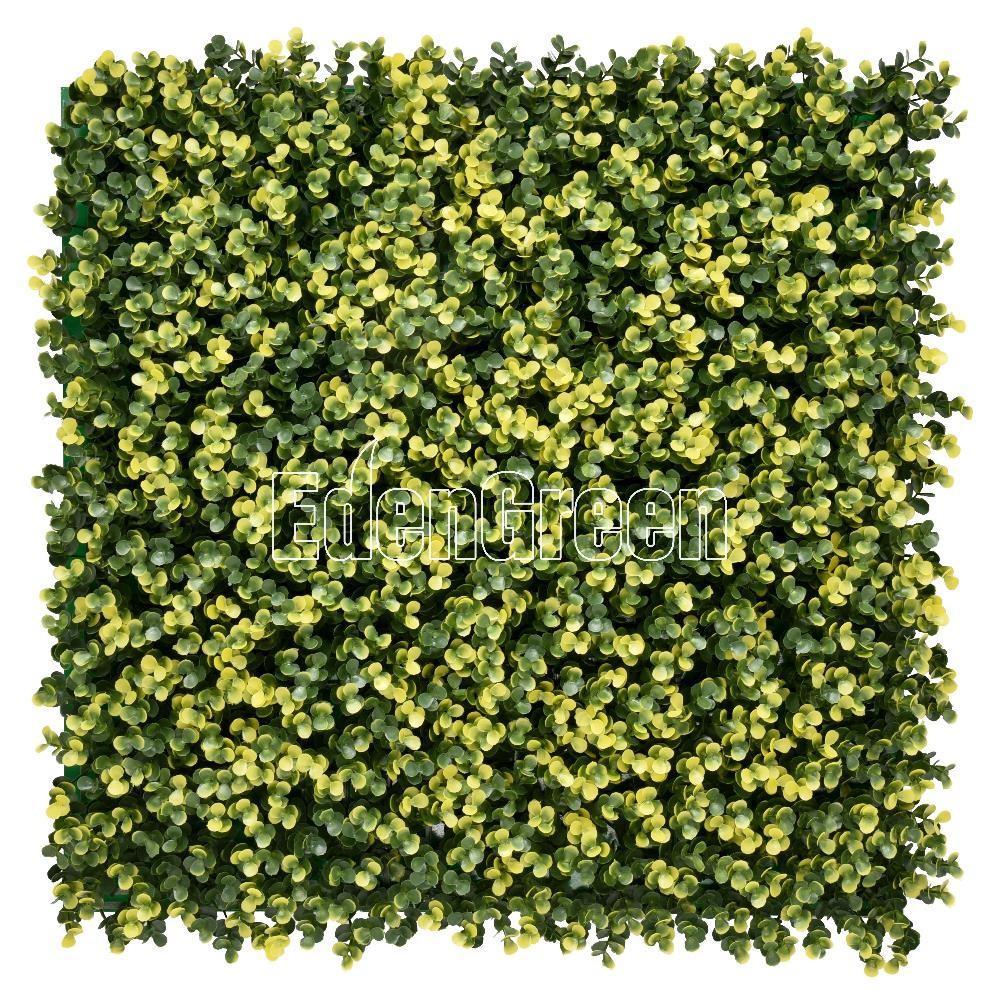 Sinica EGA016 50*50cm EdenGreen Vertical Green Wall Artificial Hedge Tile