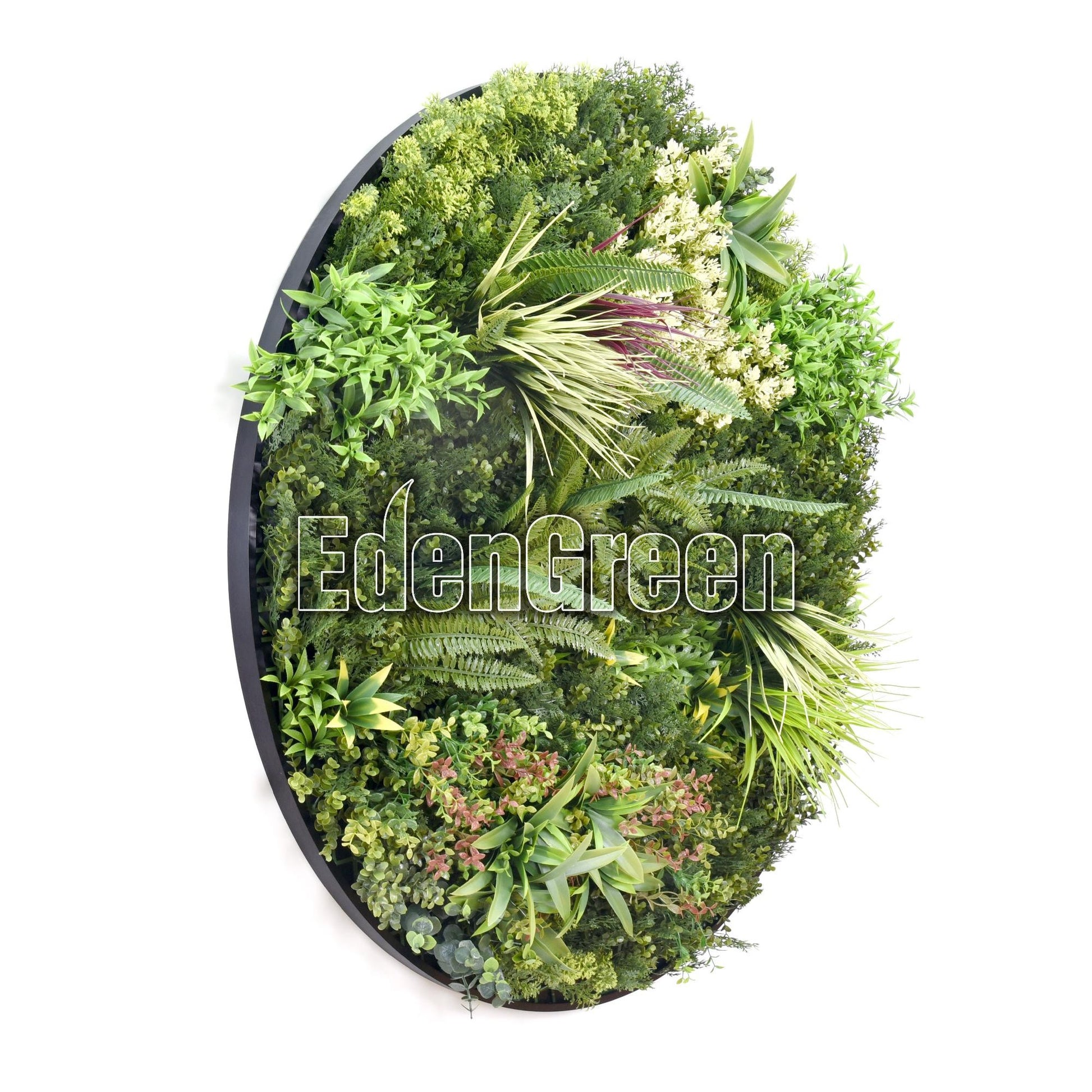 GaeaC EGK003CV031 100cm Disc EdenGreen Vertical Green Wall  Panel Disc Garden Flower Art