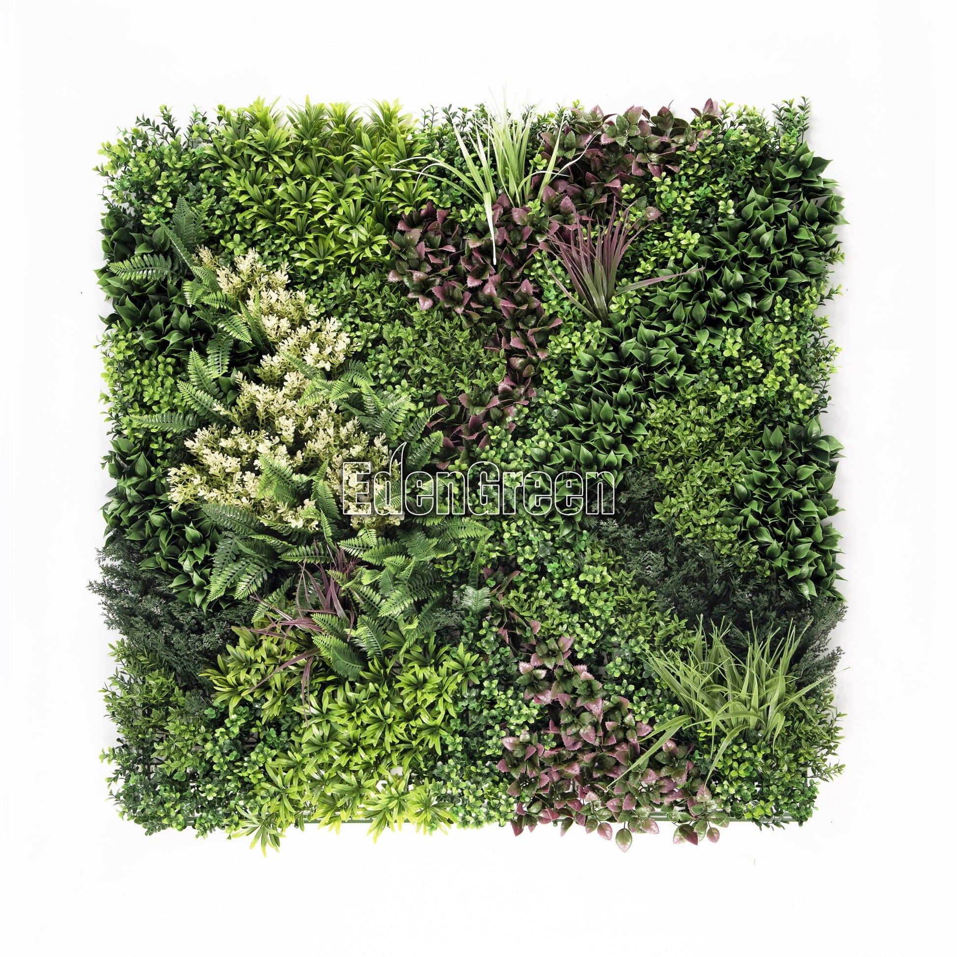 Hera-A EGK001A 100*100cm EdenGreen Vertical Green Wall Artificial Hedge Tile