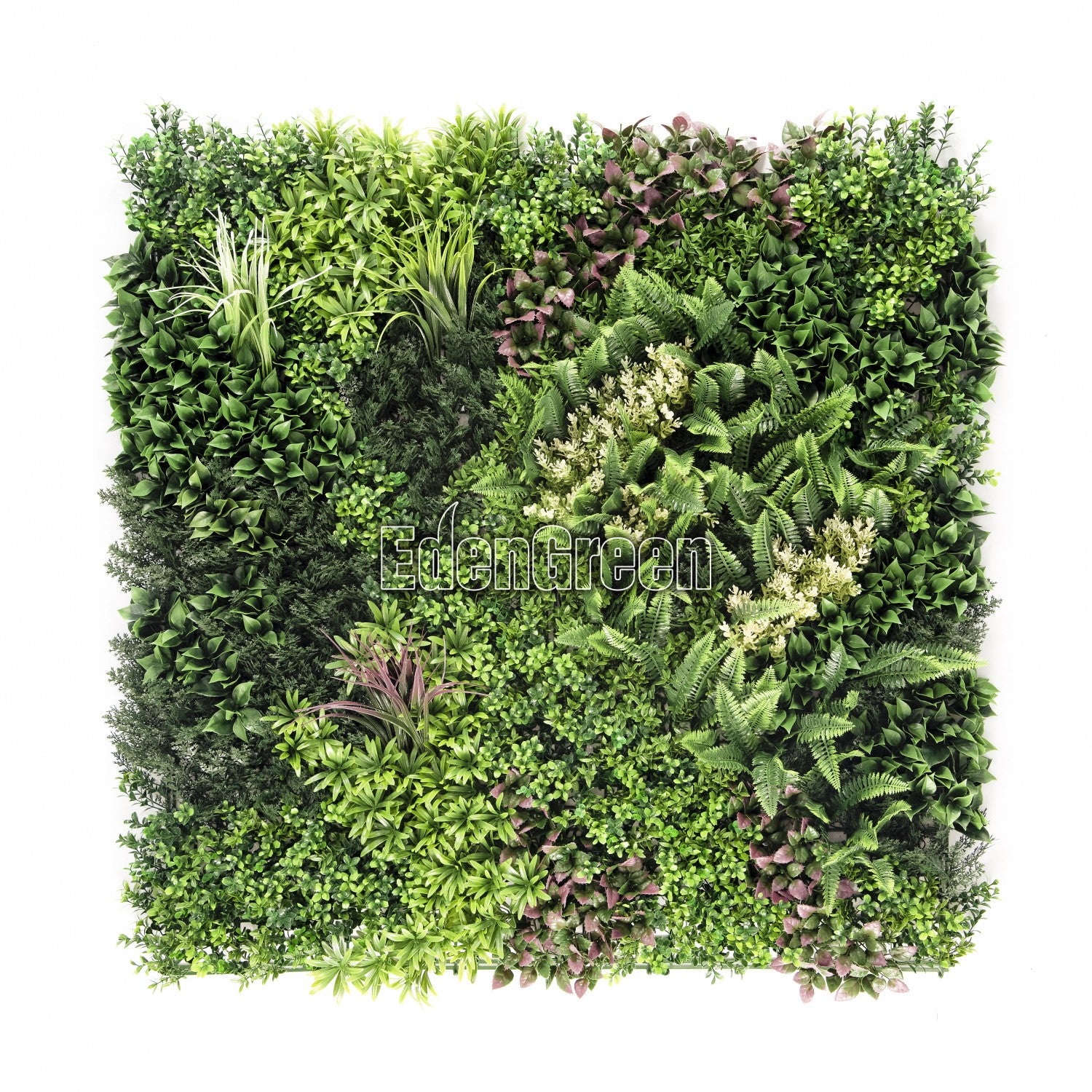 Hera-B EGK001B 100*100cm EdenGreen Vertical Green Wall Artificial Hedge Tile