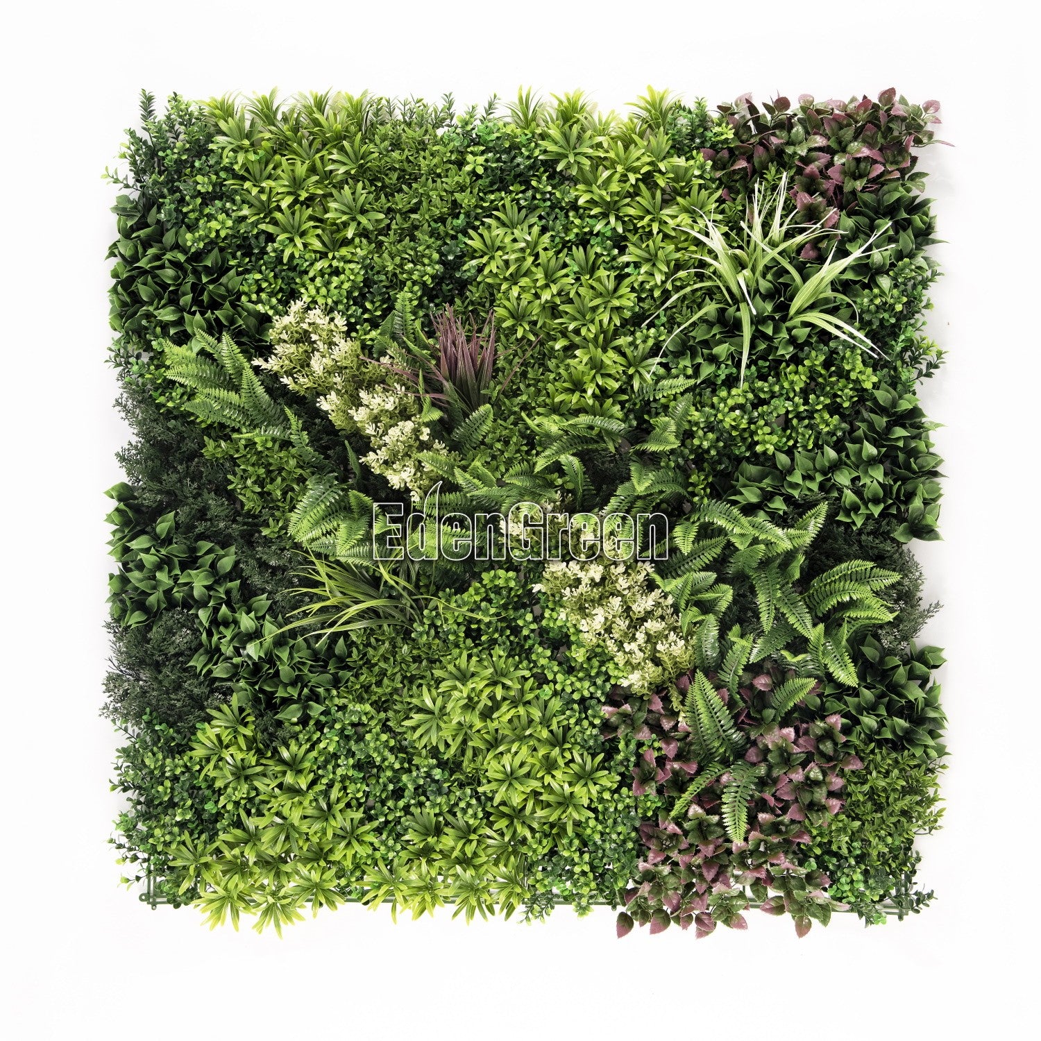 Hera-C EGK001C 100*100cm EdenGreen Vertical Green Wall Artificial Hedge Tile