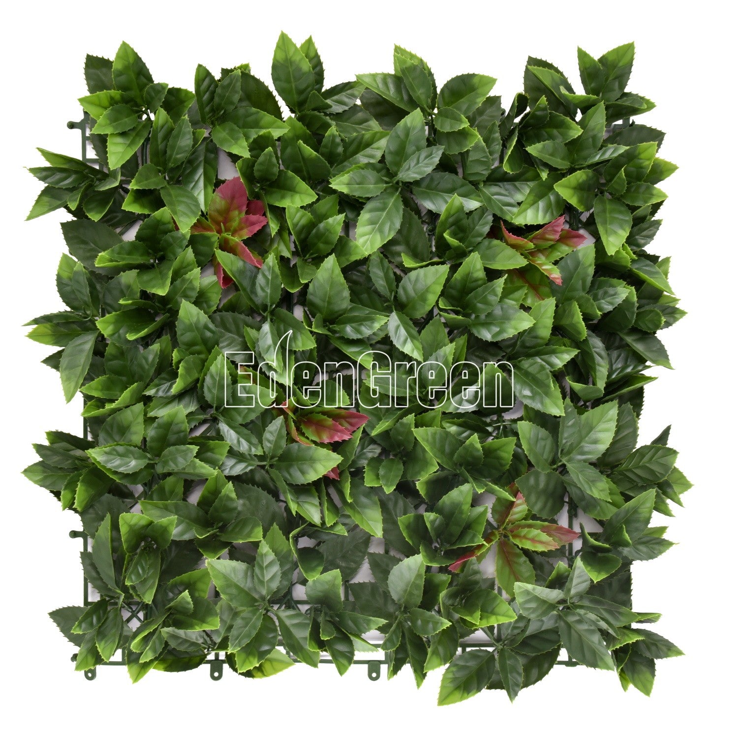 Photinia EGA008 50*50cm EdenGreen Vertical Green Wall Artificial Hedge Tile