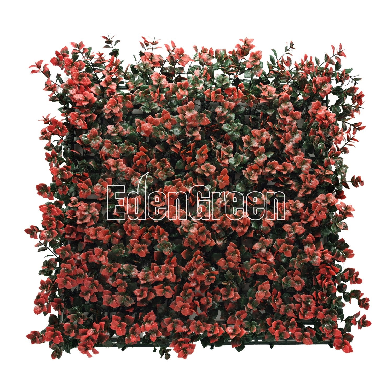 Pachysandra EGA027 50*50cm EdenGreen Vertical Green Wall Artificial Hedge Tile