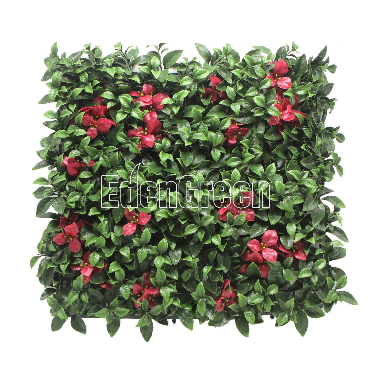 Gardenia Red EGA092 50*50cm EdenGreen Vertical Green Wall Artificial Hedge Tile
