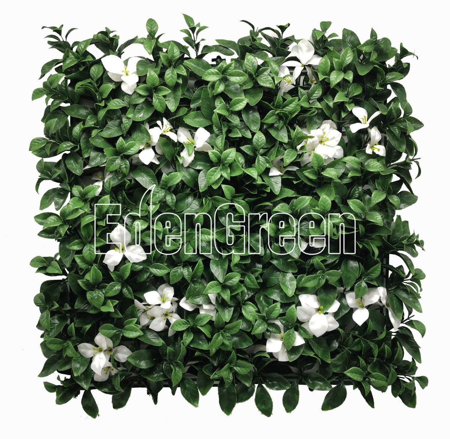 Gardenia White EGA091﻿ 50*50cm EdenGreen Vertical Green Wall Artificial Hedge Tile