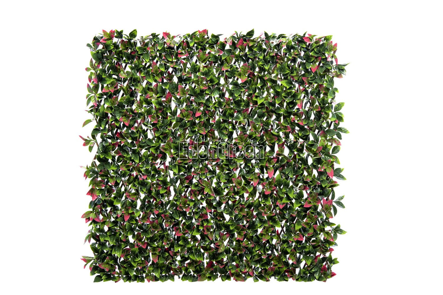 Photinia Willow Fence EGP012 100*200cm EdenGreen Expand Artificial Hedge Trellis