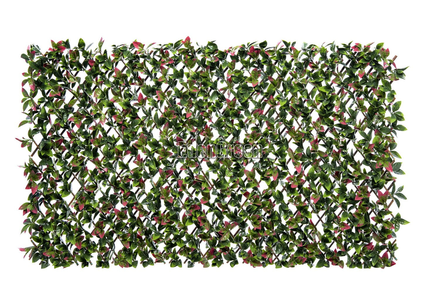 Photinia Willow Fence EGP012 100*200cm EdenGreen Expand Artificial Hedge Trellis