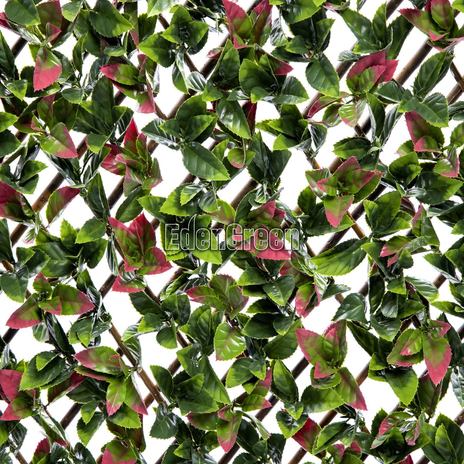 Photinia Willow Fence EGP012 100*200cm EdenGreen Expand Artificial Hedge Trellis