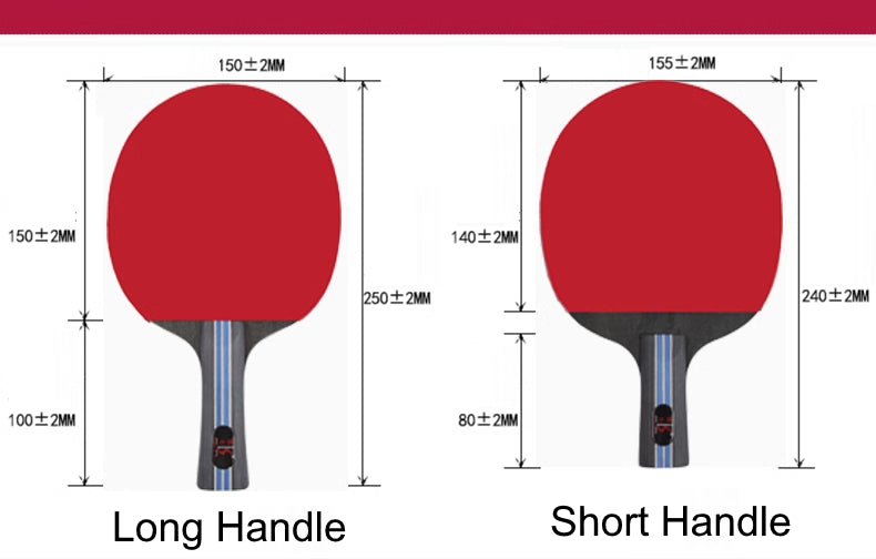 BOKA Training Table Tennis Rackets with Carry Case (2PCS)